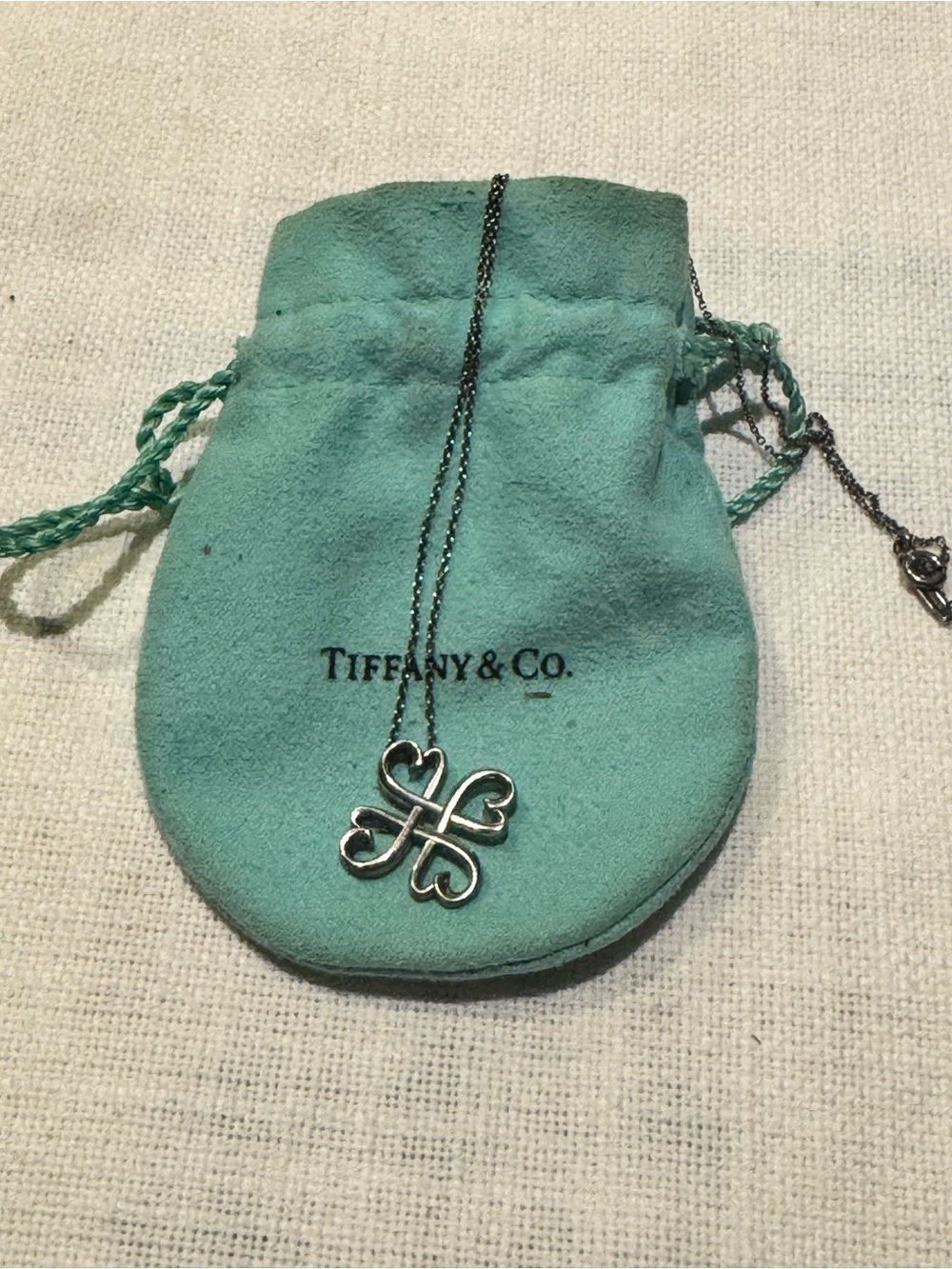 Tiffany & Co. Sterling Silver Chain Necklace with Spring Ring Clasp